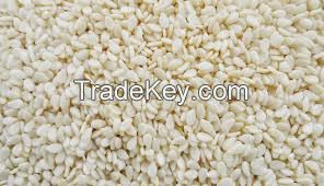 Sesame Seeds