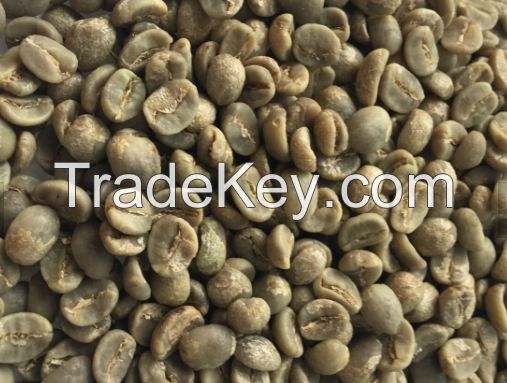 high quality robusta and arabica coffee beans
