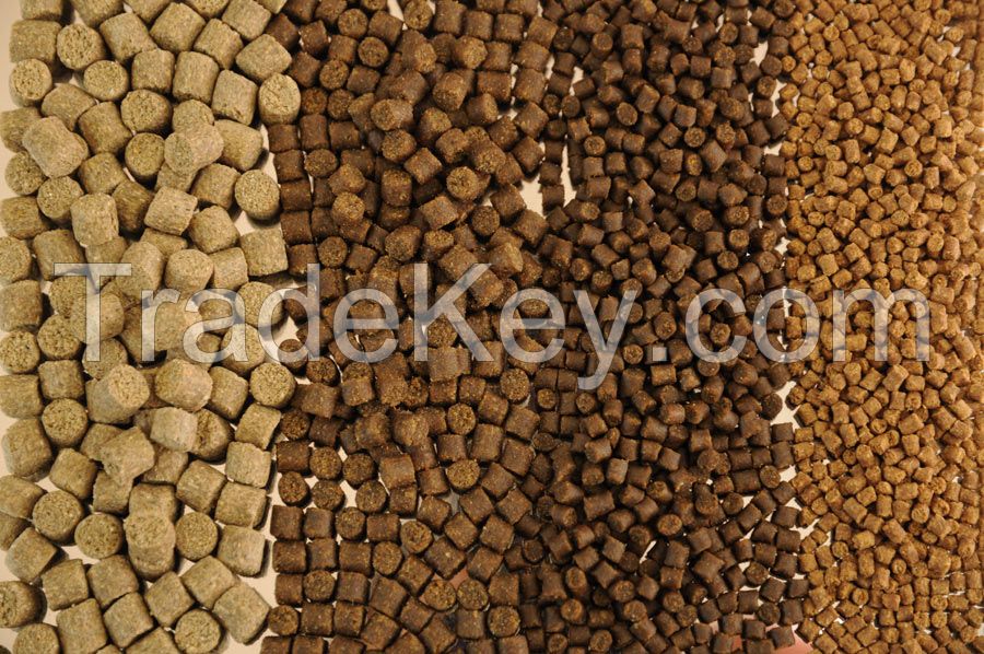 Fish Feed, Fish Meal, Poultry Meal for Fish Feed