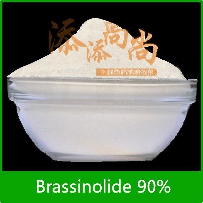 High efficiency plant growth regulator Brassinolide(BR)90%TC, 0.1%SP, 0.01%SP