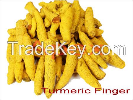 Turmeric Finger