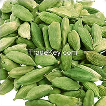 Cardamom