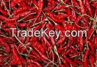 Dried Red Chilli