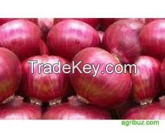 Red onion