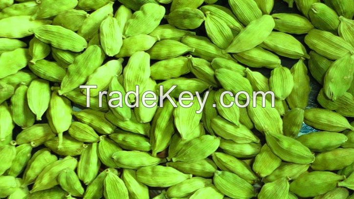 Cardamom