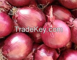 Red onion