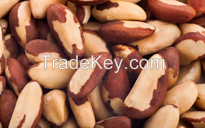 raw brazil nuts organic brazil nuts