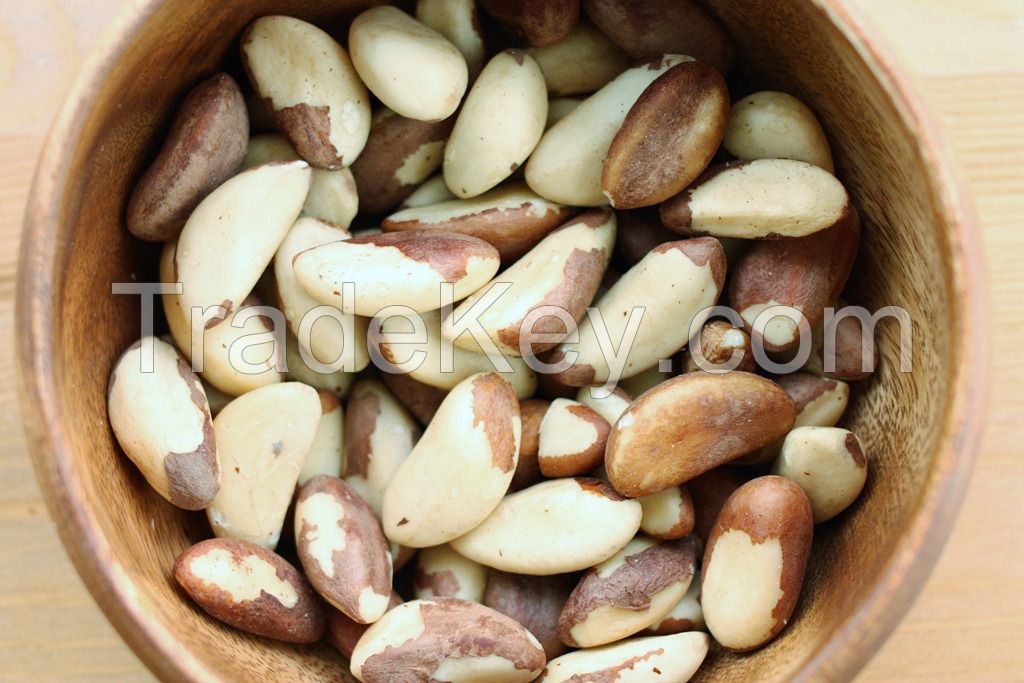 raw brazil nuts organic brazil nuts