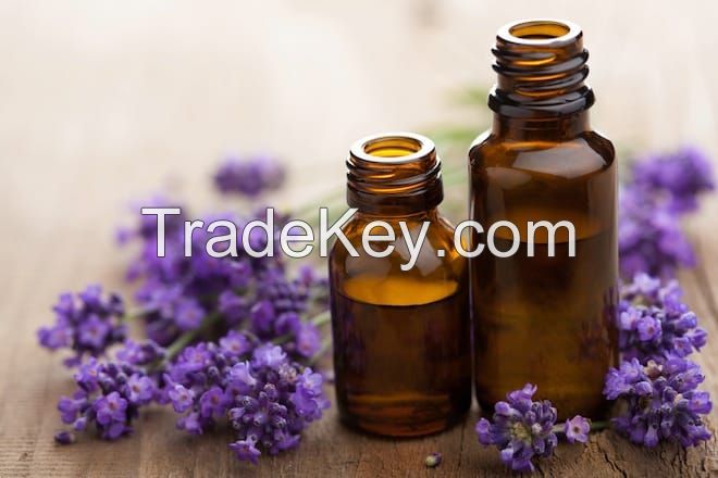 Lavender Oil Essential 100 % Natural made in Bulgaria EU