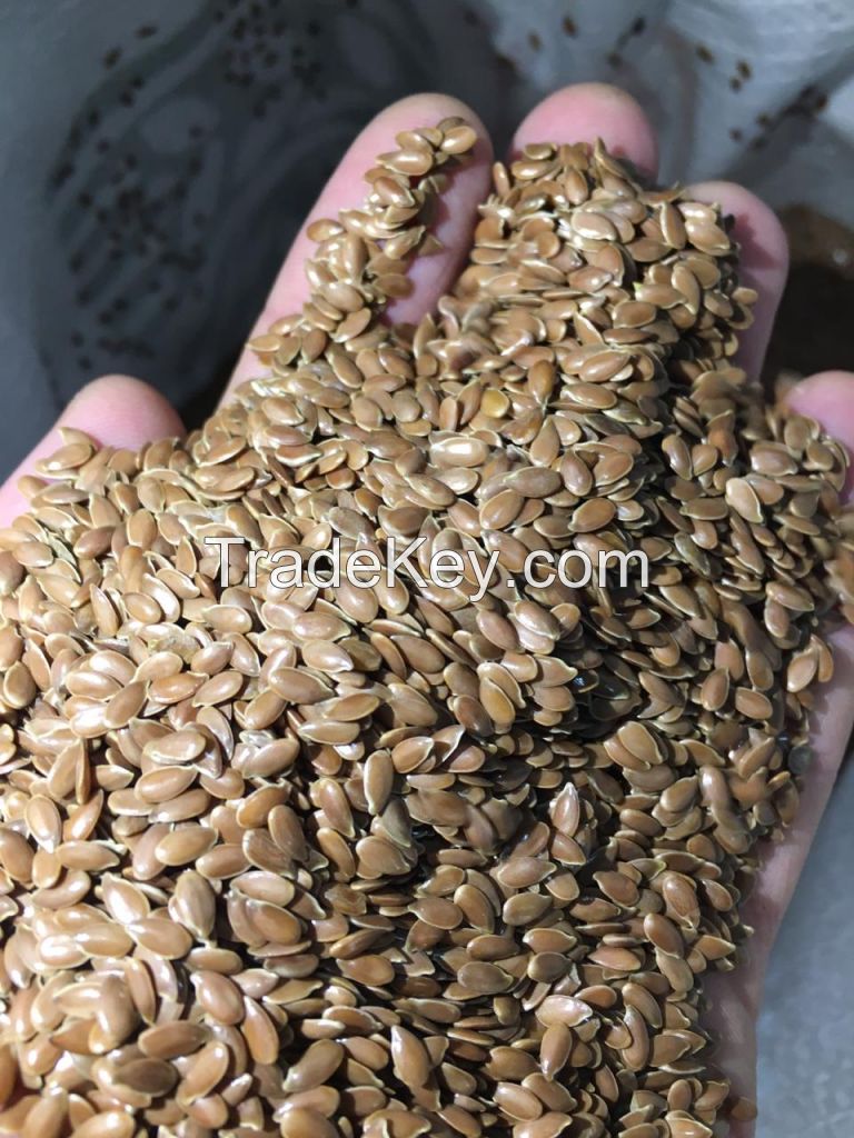 flax seed