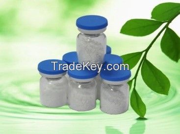 Sodium Hyaluronate (Hyaluronic Acid), food grade