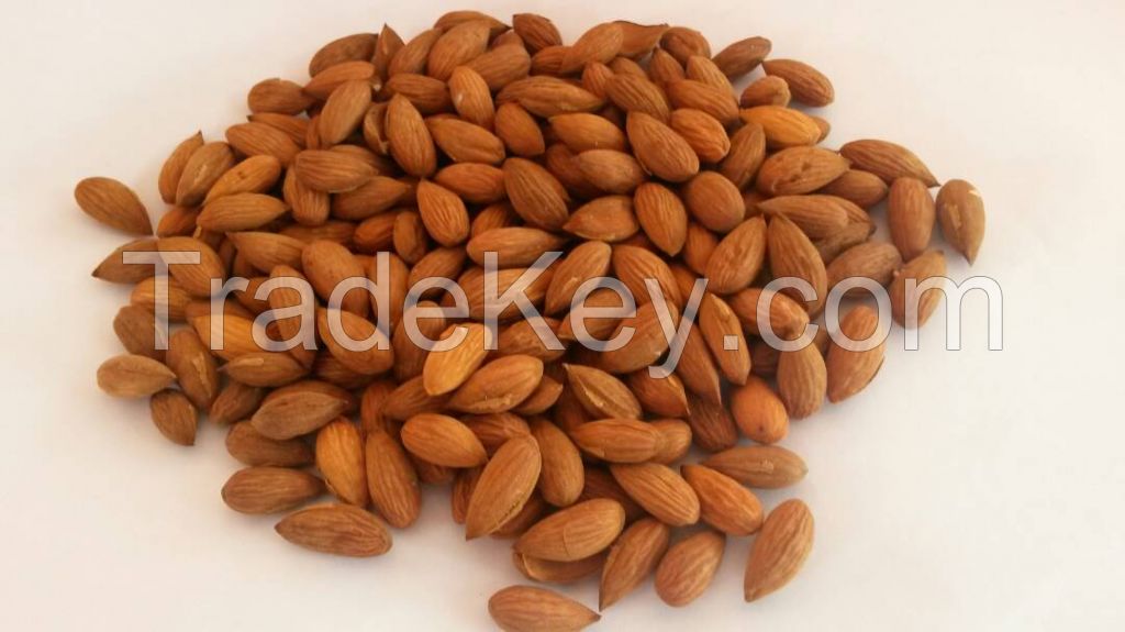 High quality almond kernel - 2017 harvest