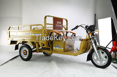 Electric tricycles