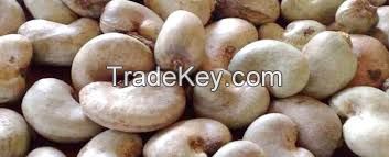 Dried Cashew Nuts