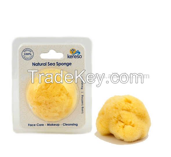 Sea Sponge