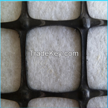 Hot Sale Biaxial Plastic Geogrid