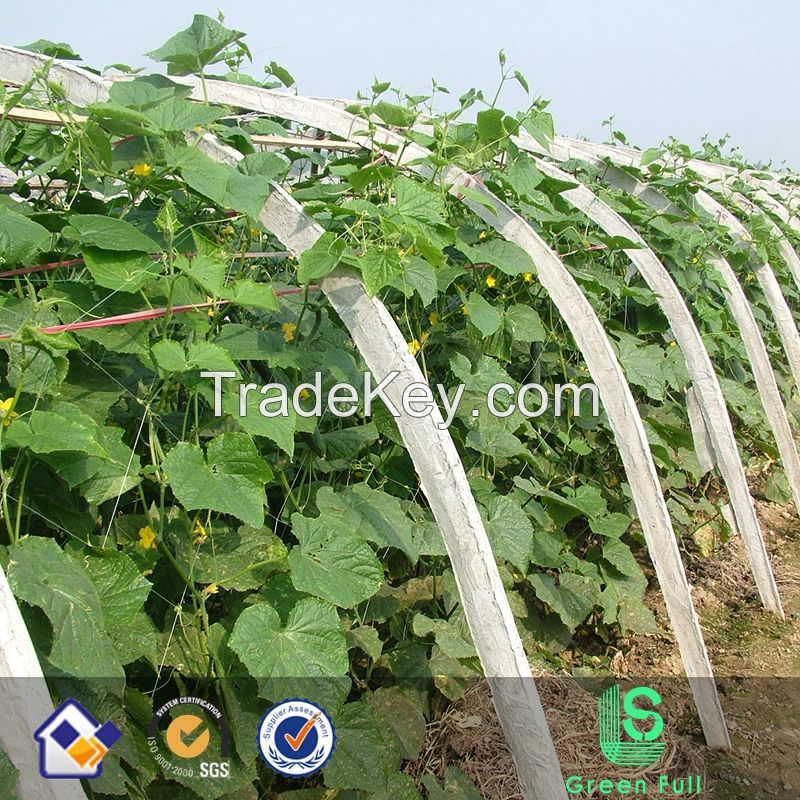 cucumber net