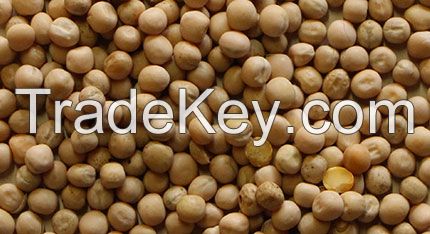 Whole Yellow Peas