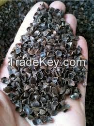 buckwheat hulls/Husks/Shells wholesale