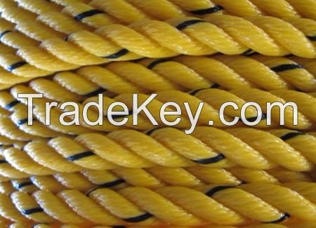 PP DANLINE ROPE, HDPE / PE MONOFILAMENT ROPE, NYLON ROPE, RECYCLE ROPES