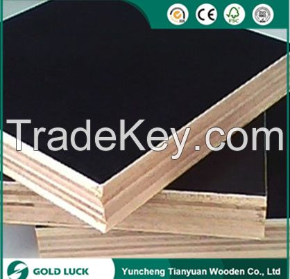 Film Faced Plywood