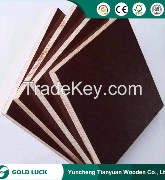 Film Faced Plywood