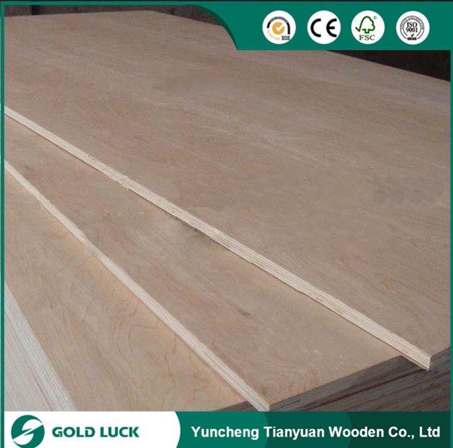 1220x2440mm  Binrangor Commercial Plywood