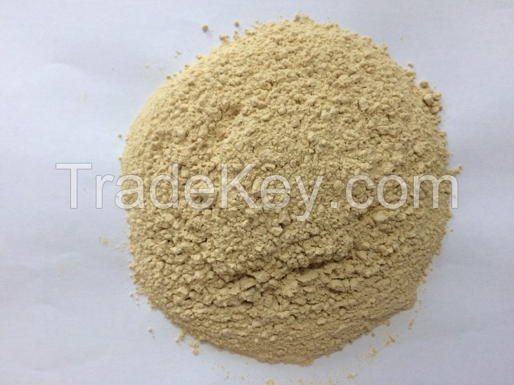 DEHYDRATED GARLIC POWDER PREMIUM