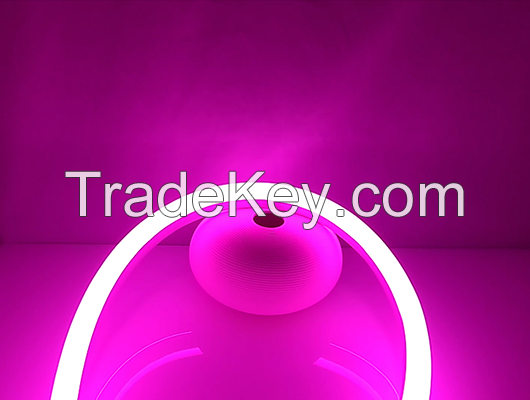 LED NEON TUBE