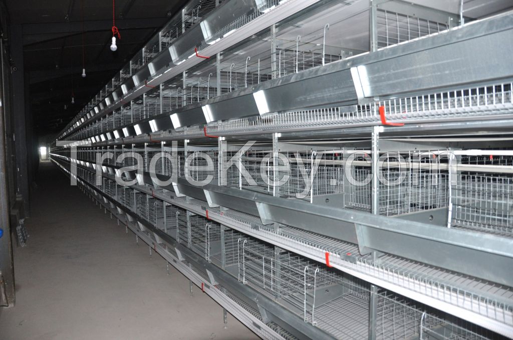 Hot Galvanized 4 Tier H Type Battery Layer Chicken Cage