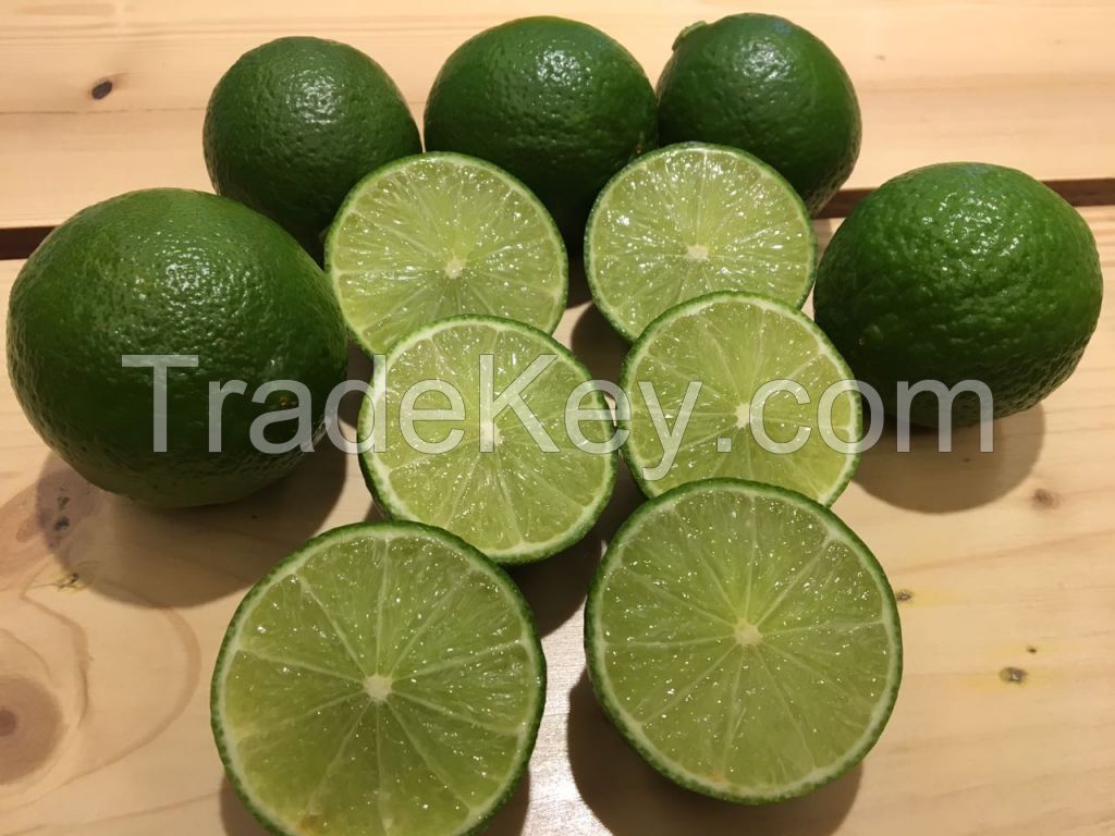 Seedless Lime