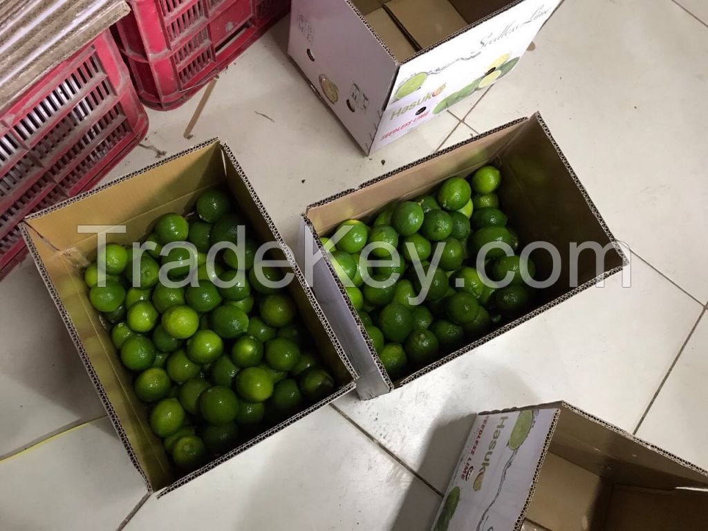 Seedless Lime