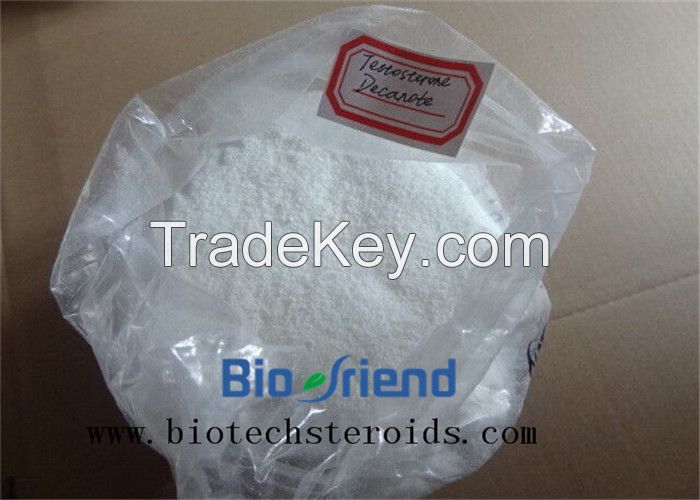 Testosterone Decanoate (Steroids) 