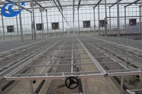 greenhouse wire mesh rolling bench growing table