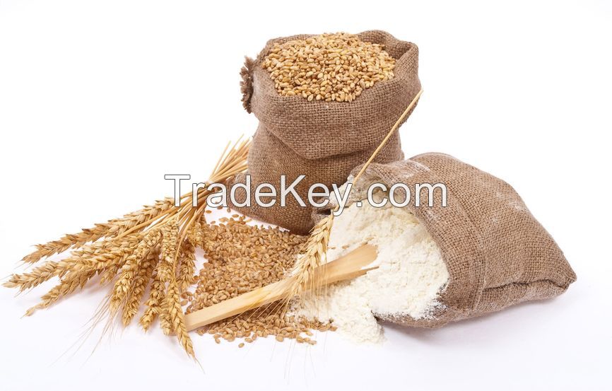 wheat flour 