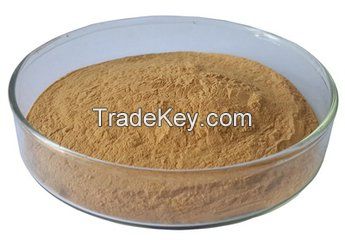 Green Tea Extract Powder