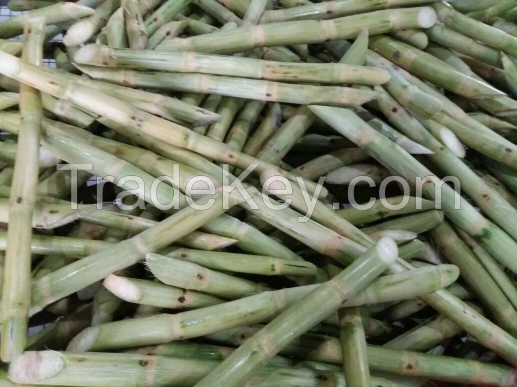 HIGH QUALITY FROZEN SUGARCANE FOR JUICE