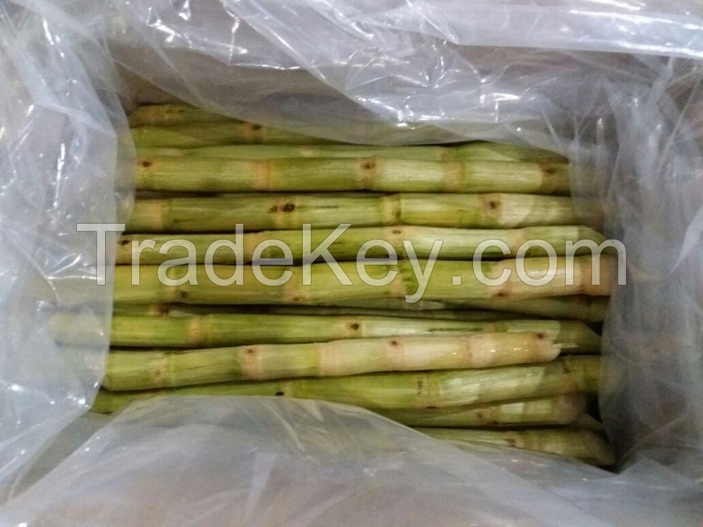 HIGH QUALITY FROZEN SUGARCANE FOR JUICE