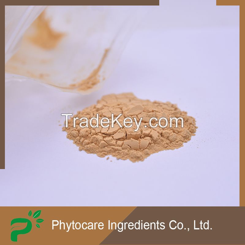 Honeysuckle Flower Extract