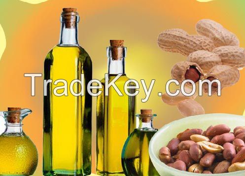 groundnut oil