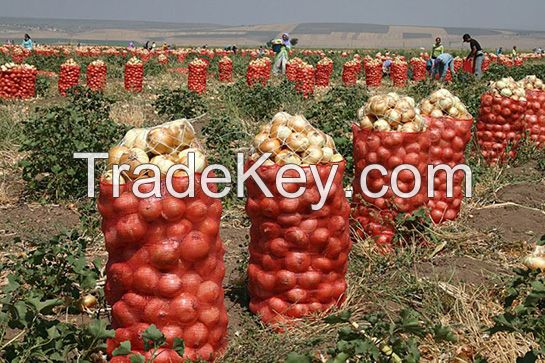 Fresh onion from Azerbaijan