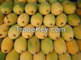 Fresh fruit,Fresh Mango,Fresh Golden Yellow Mango