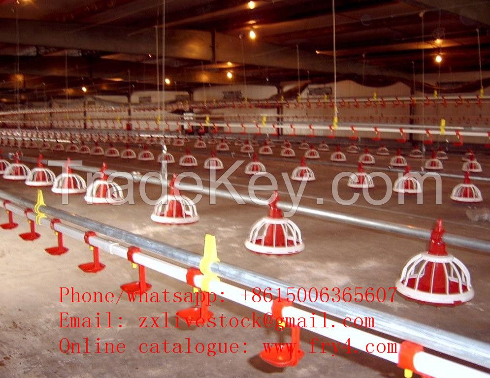 Automatic feeders for poultry farm