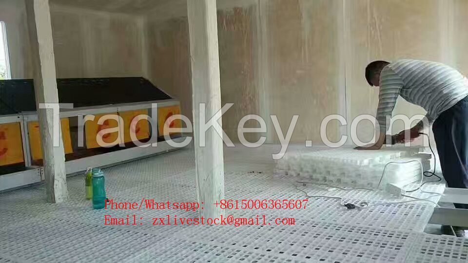 Poultry farm plastic slat floor