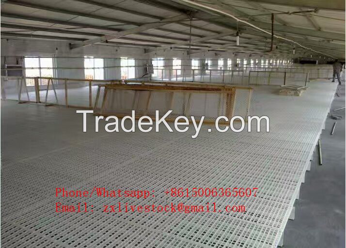 Poultry farm plastic slat floor