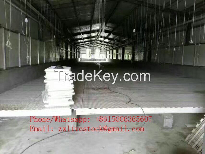 Poultry farm plastic slat floor