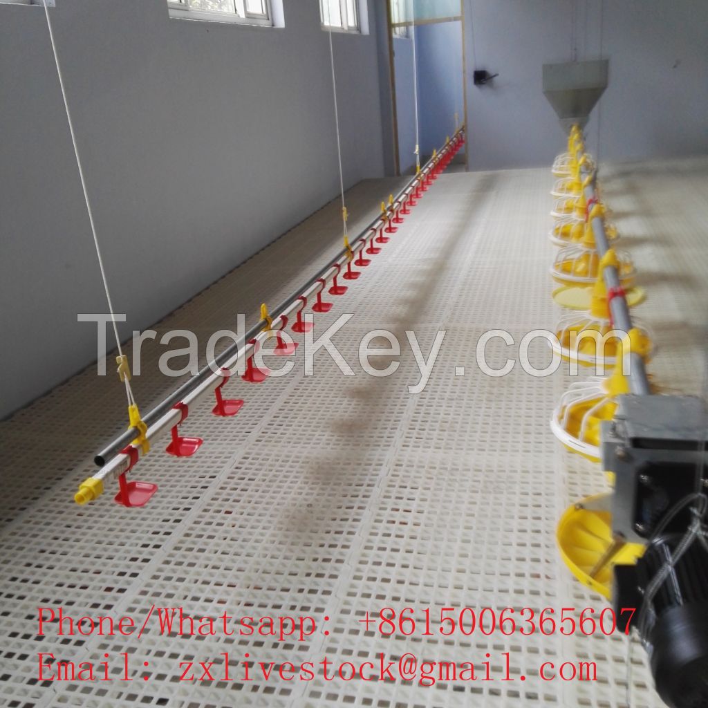 Automatic nipple drinkes for poultry farm