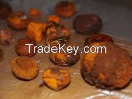 Grade A Ox Gallstones Cattle Gallstones Cow Gallstones