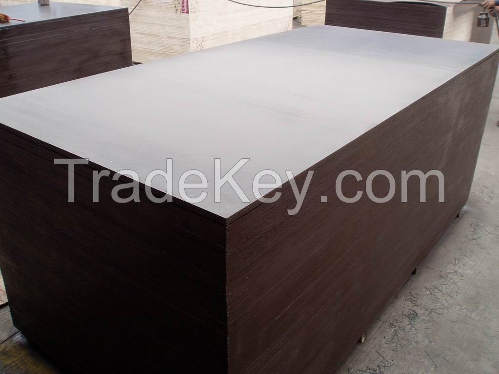 WBP glue film faced plywood manufacturer