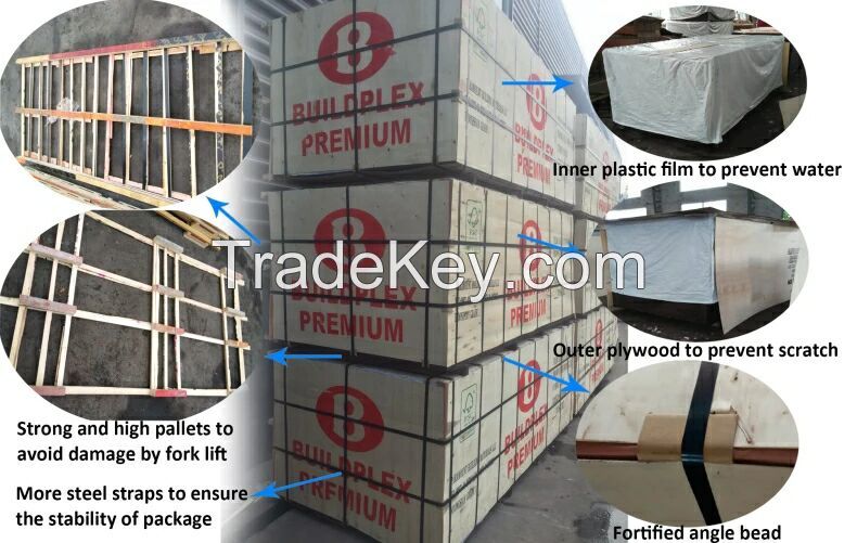 WBP glue film faced plywood manufacturer